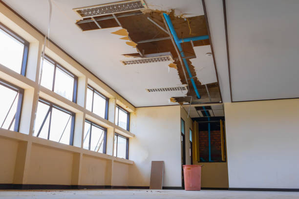 Best Carpet water damage restoration  in Belfair, WA