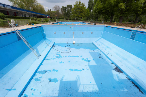 Best Flood restoration services  in Belfair, WA