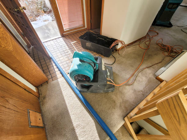 Local water damage restoration in Belfair, WA
