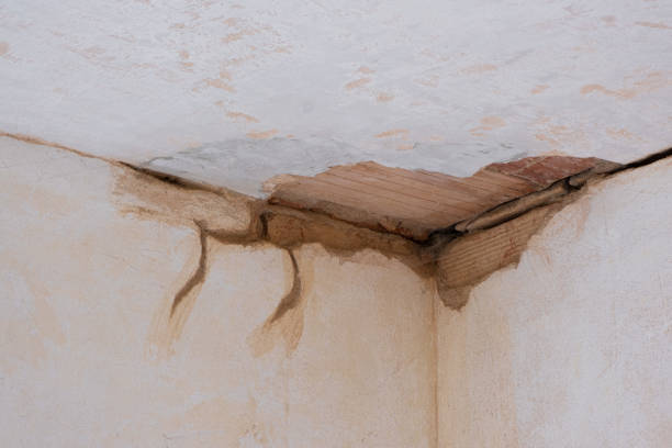 24/7 water damage repair in Belfair, WA