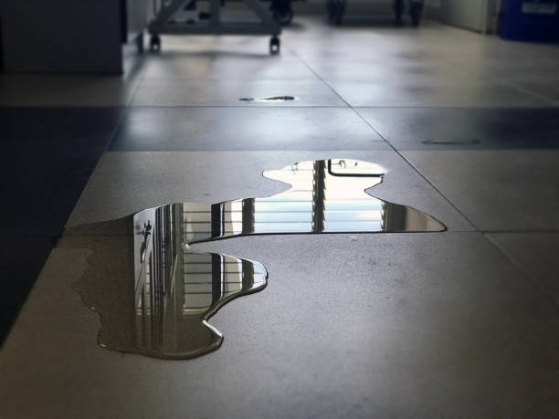 Best Water damage restoration near me  in Belfair, WA